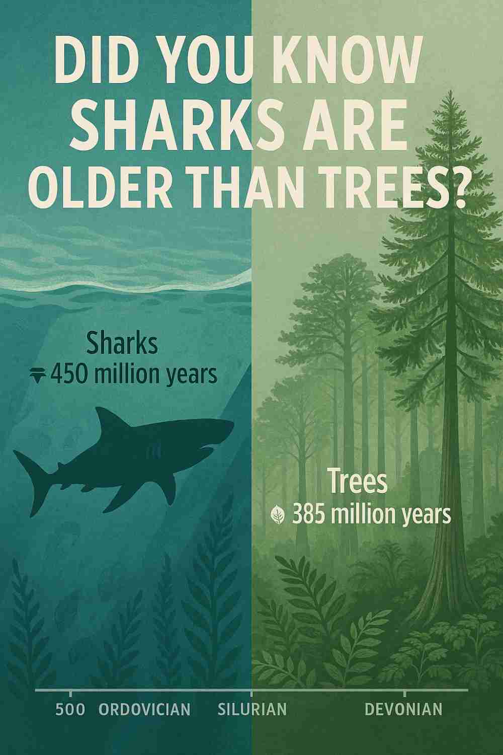 Did You Know Sharks Are Older Than Trees
