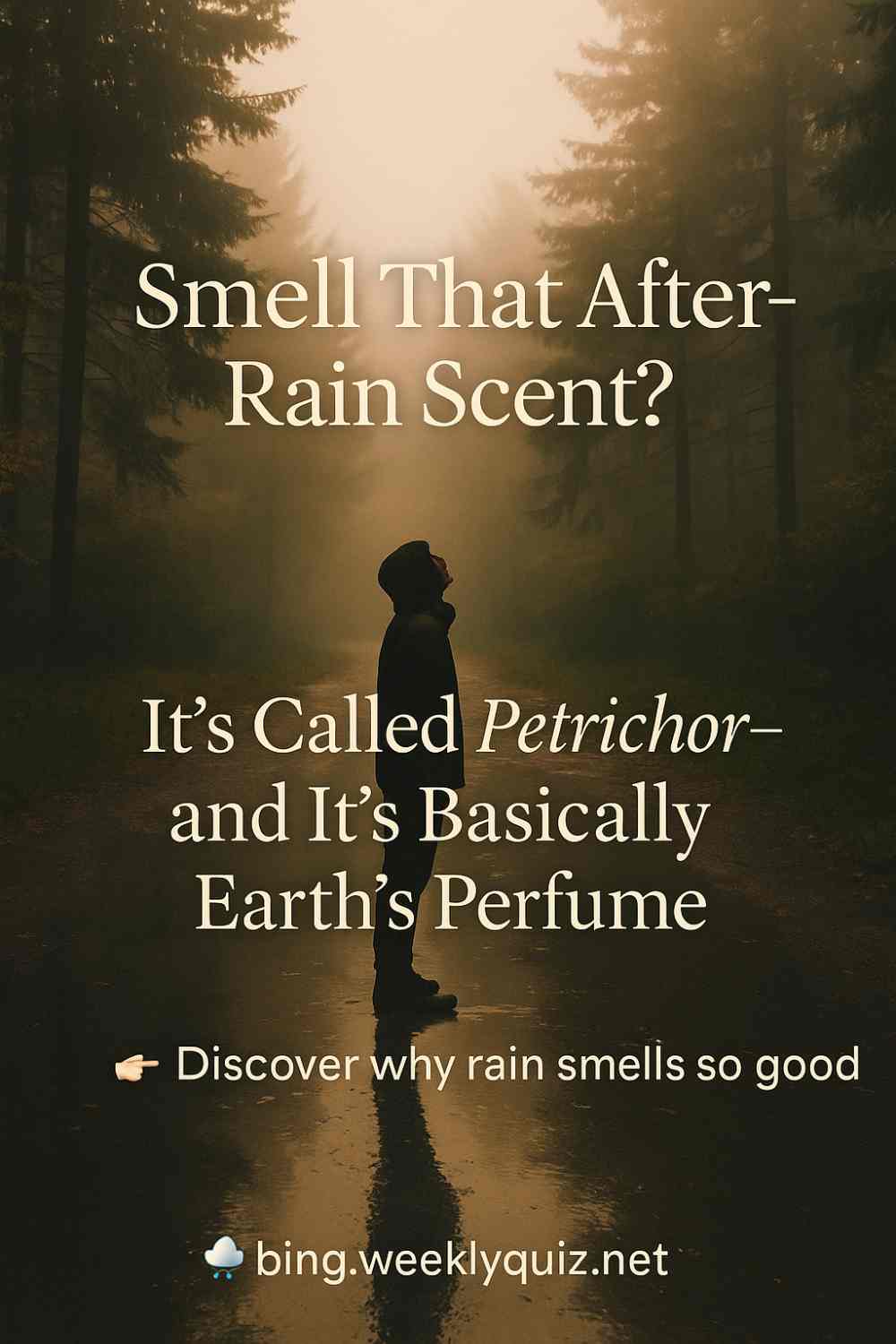 Did You Know Rain Has a Distinct Scent Called Petrichor