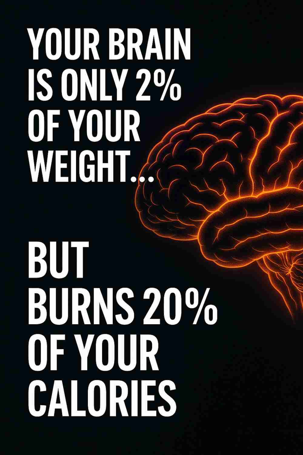 Brain uses 20% of energy
