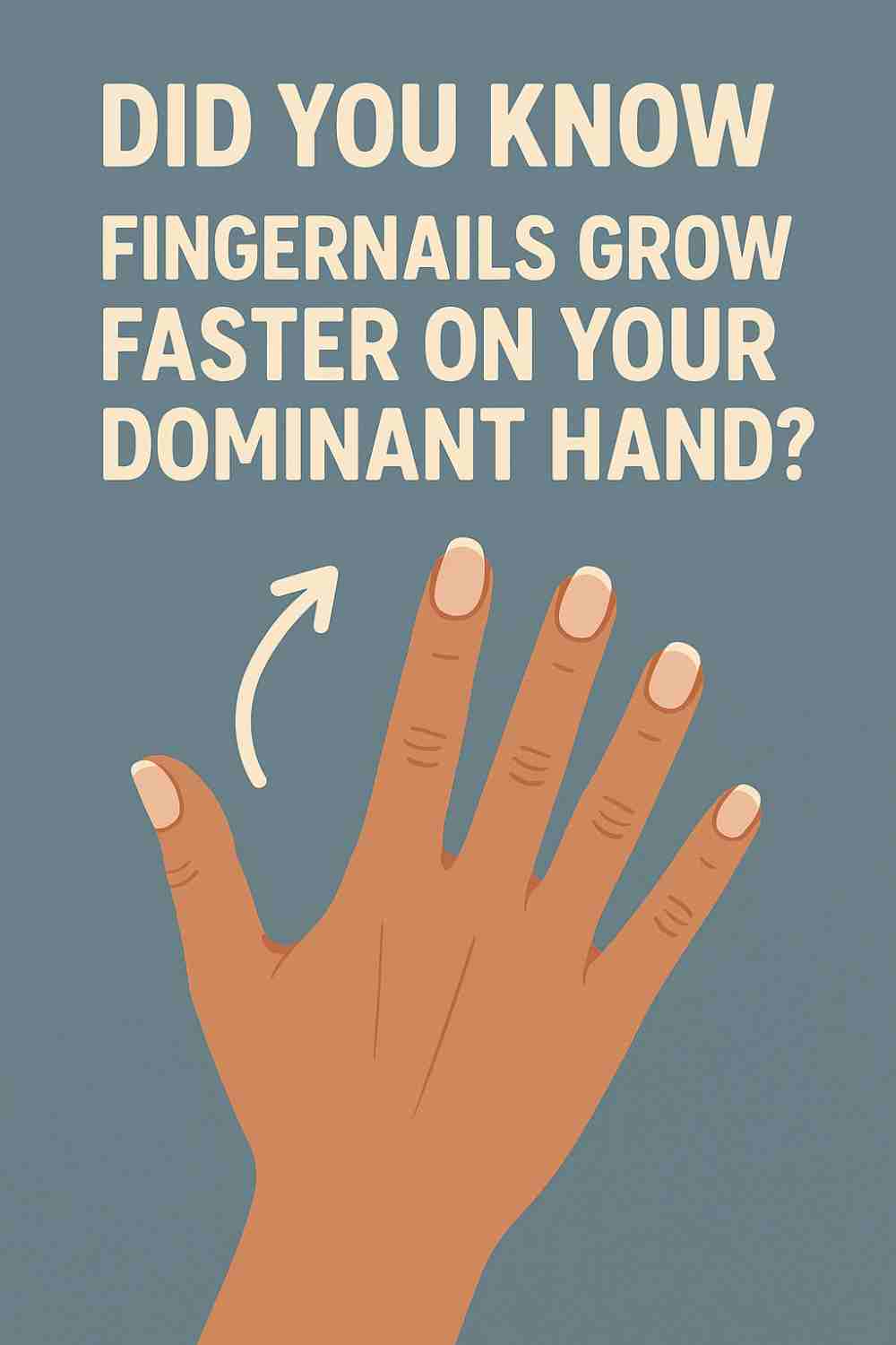 Fingernails grow faster on dominant hand