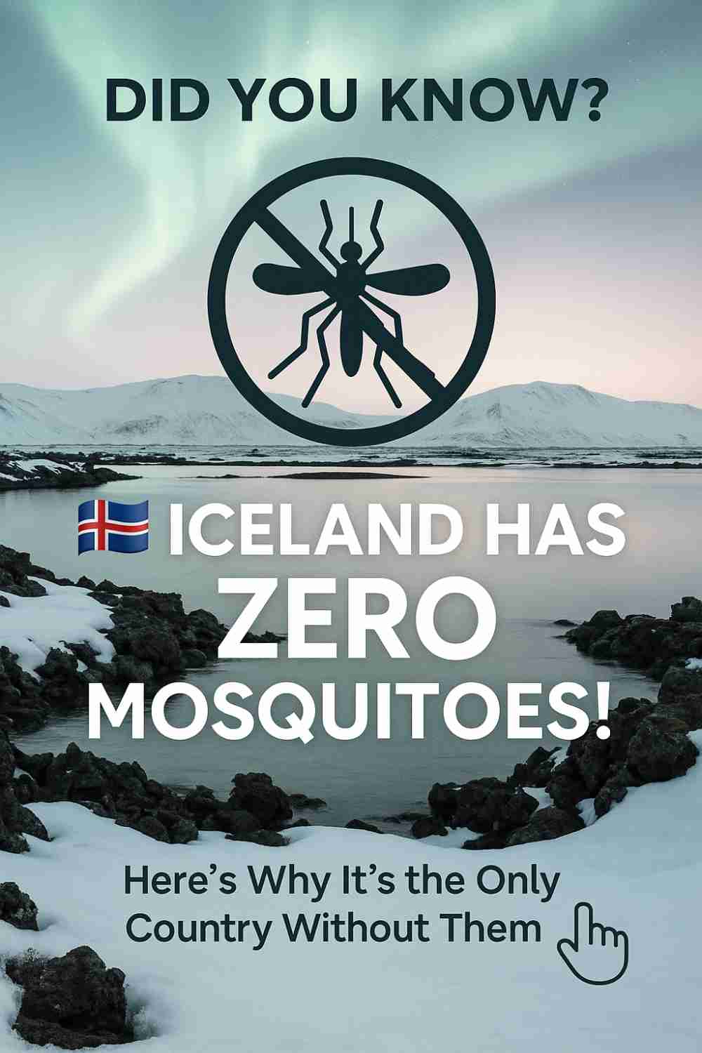Did You Know Iceland Has No Mosquitoes?